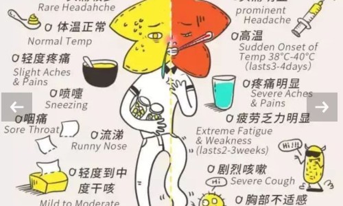 白胡椒的功效与作用危害-黑胡椒的功效,中国白胡椒的功效网站